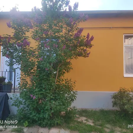 In Zentrum Διαμέρισμα Σβερίν